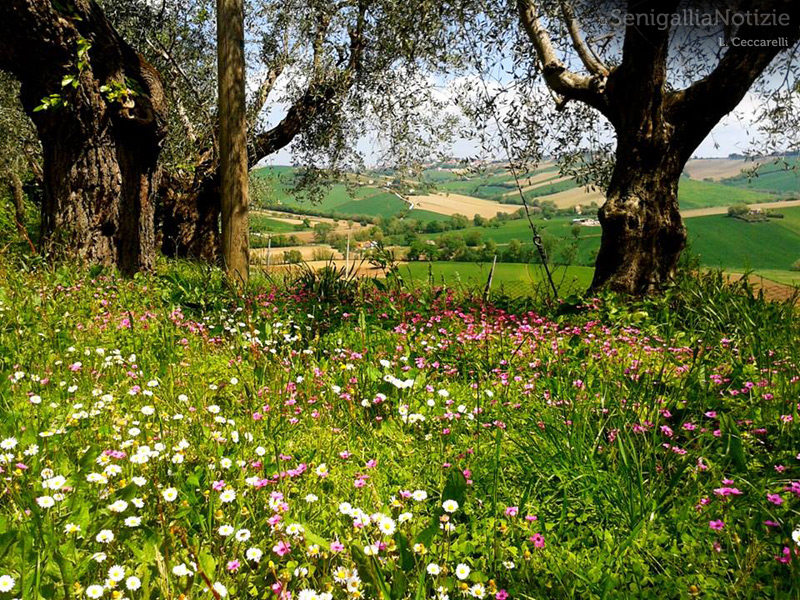 23/04/2014 - I colori della primavera