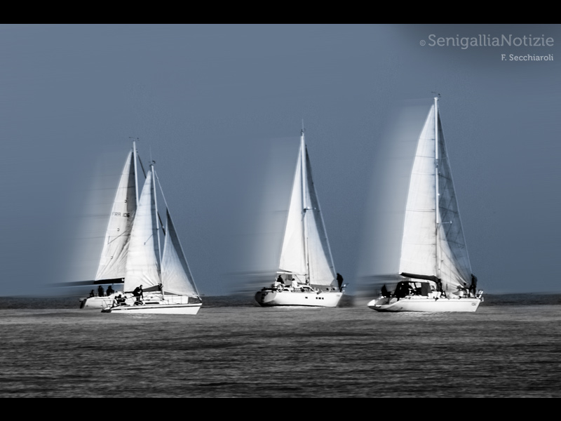 05/04/2015 - Barche a vela