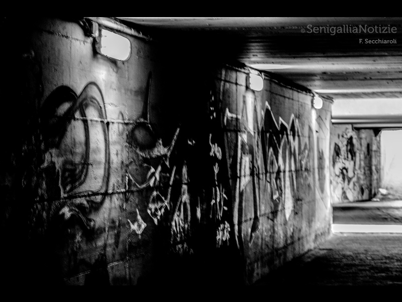 30/04/2015 - Graffiti