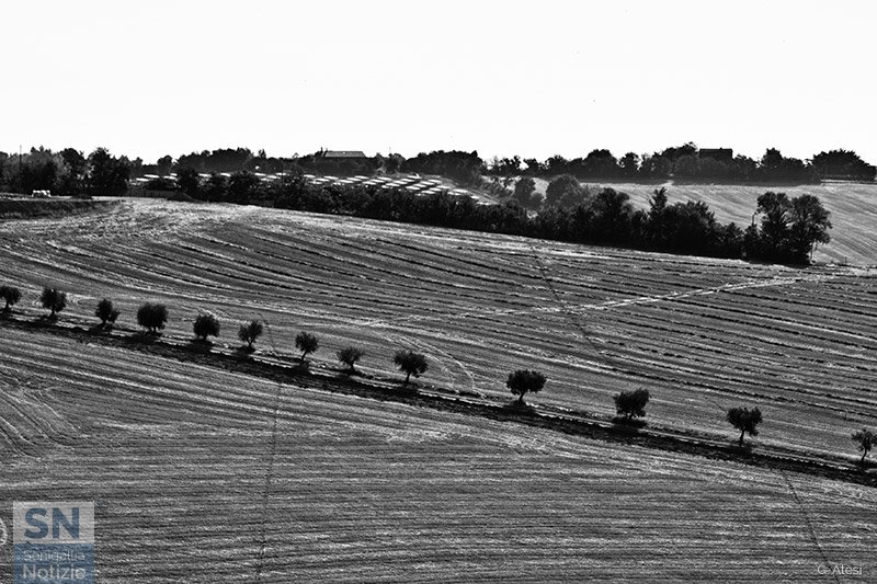 24/04/2016 - Da S. Angelo verso Morro d'Alba