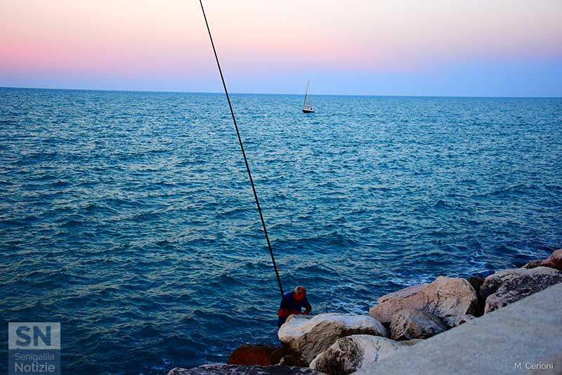 16/04/2017 - Pesca al porto