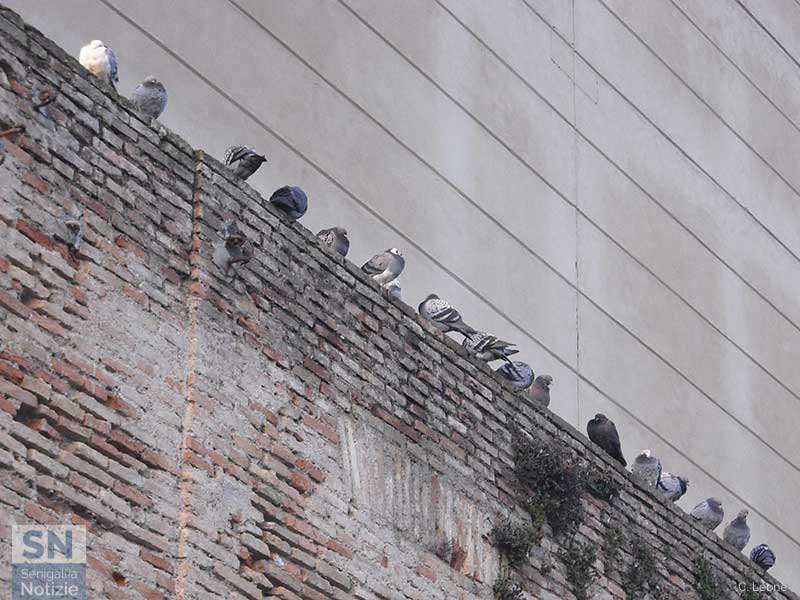 28/04/2017 - In diagonale