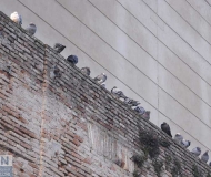 28/04/2017 - In diagonale