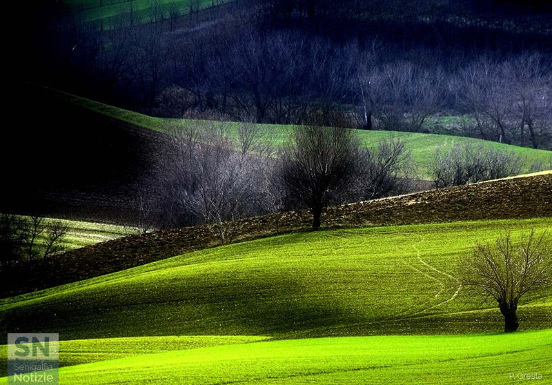 01/04/2018 - Le verdi colline