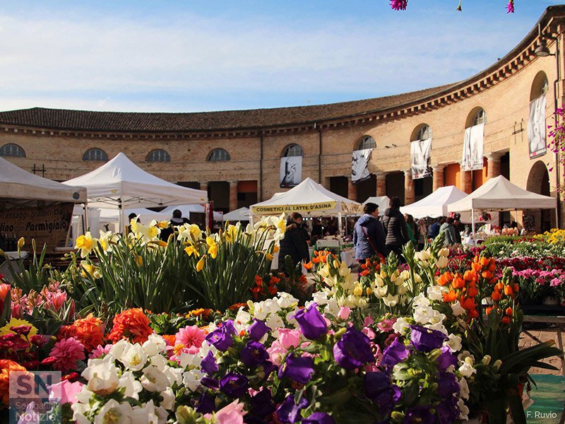 25/04/2018 - Foro in fiore