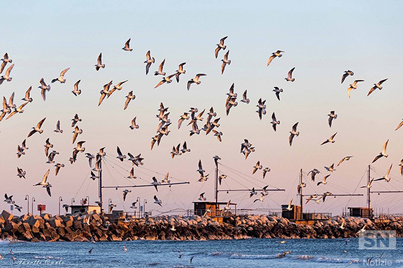 30/04/2018 - Volo e molo
