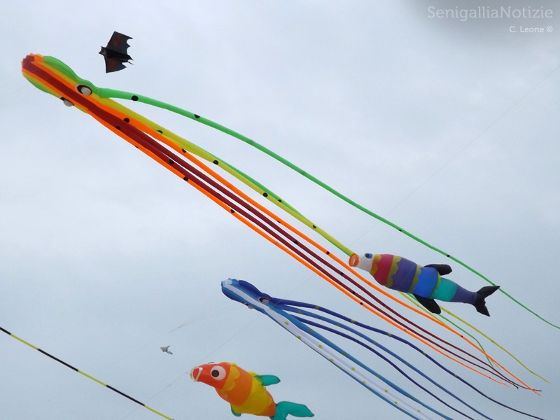 Senigallia, aquiloni al mare