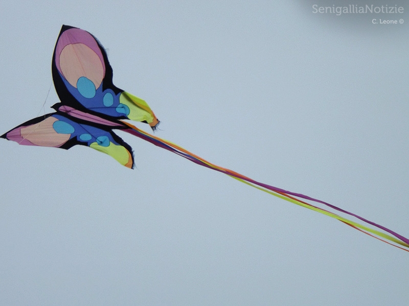 Senigallia, aquiloni al mare