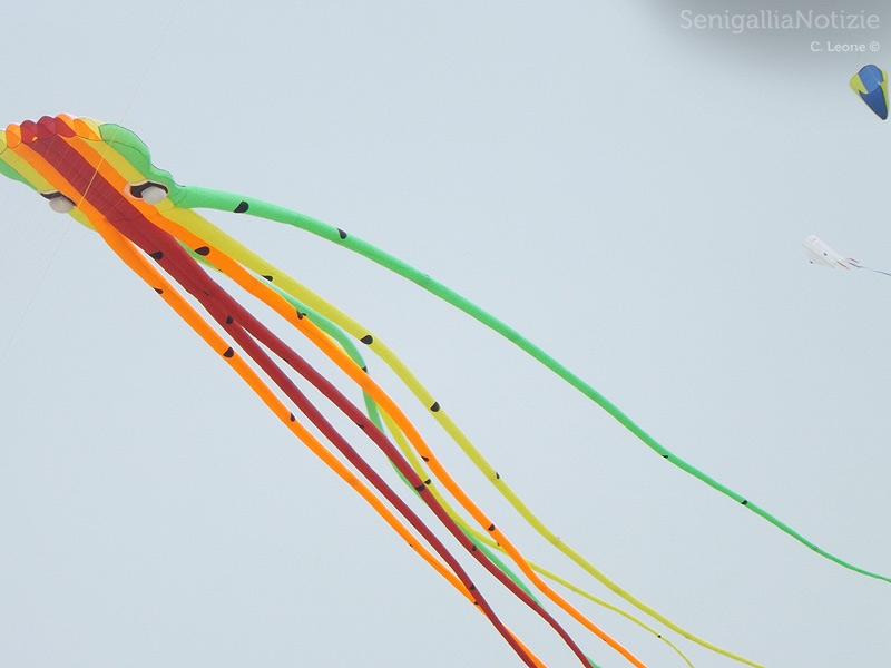 Senigallia, aquiloni al mare