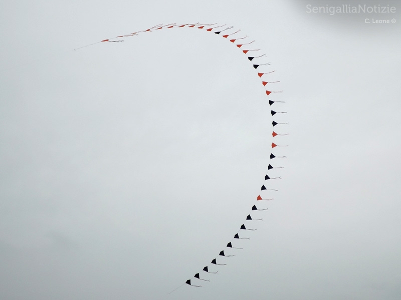 Senigallia, aquiloni al mare