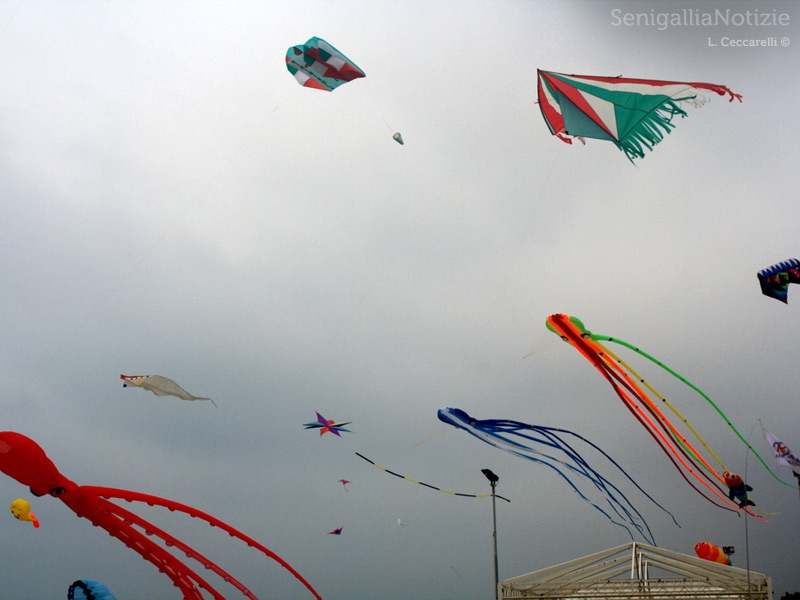 Senigallia, aquiloni al mare