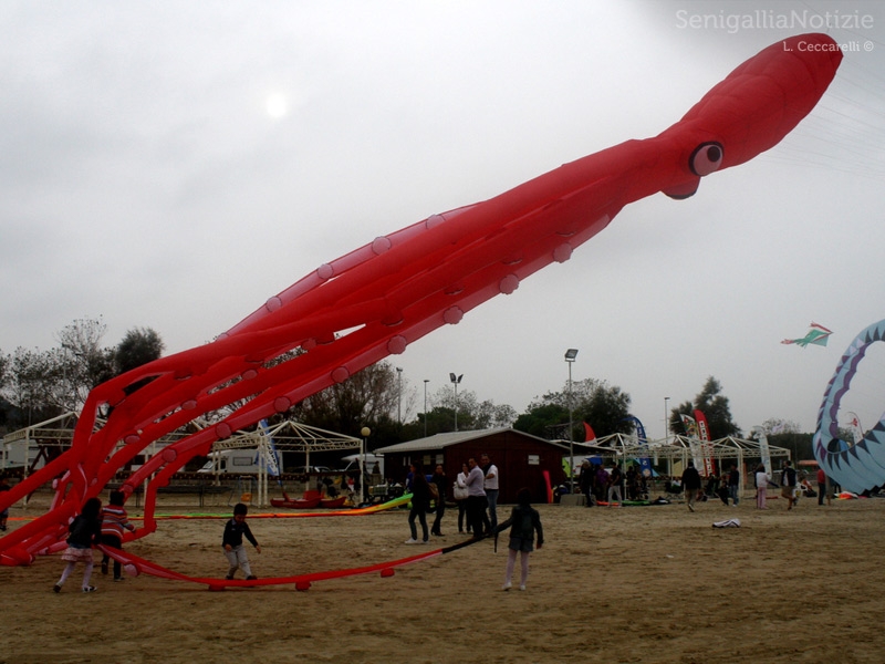 Senigallia, aquiloni al mare