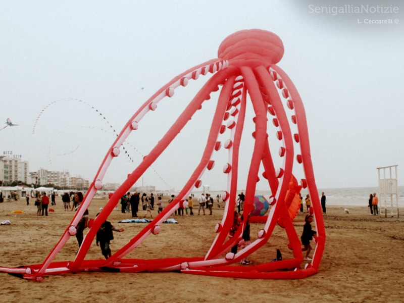 Senigallia, aquiloni al mare