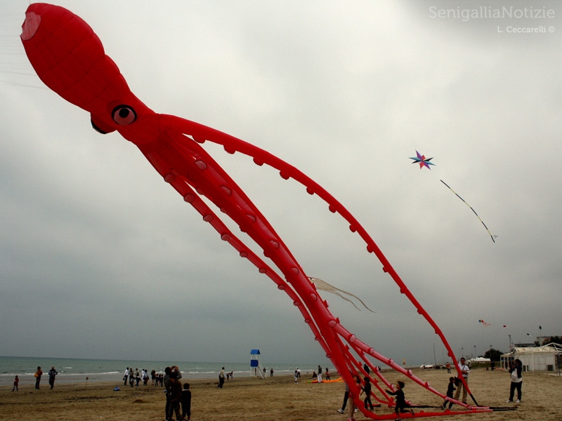 Senigallia, aquiloni al mare