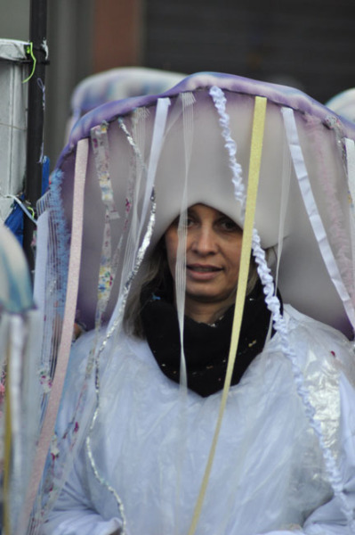 Meduse e seppie di Club Nautico e Lega Navale Senigallia