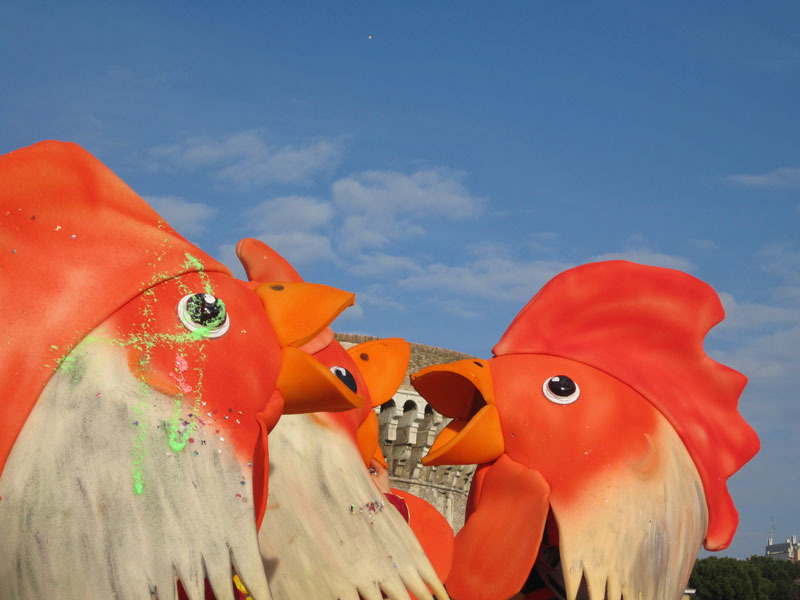 Galli usciti dal pollaio