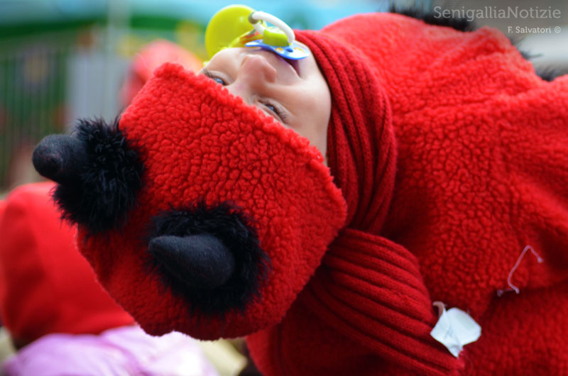 Carnevale 2013: obiettivo sui partecipanti