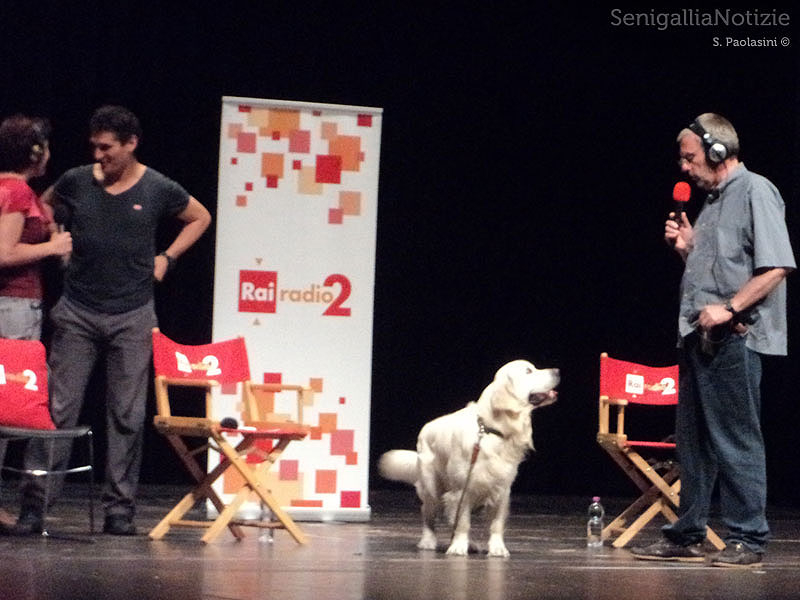 L'onnipresente Zam non poteva mancare alla Fenice