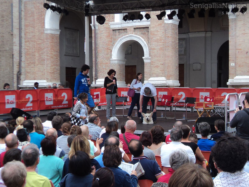 Caterpillar in diretta da piazza Roma a Senigallia