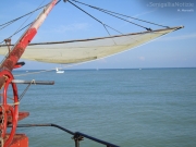 13/12/2012 - La pesca al molo di Senigallia