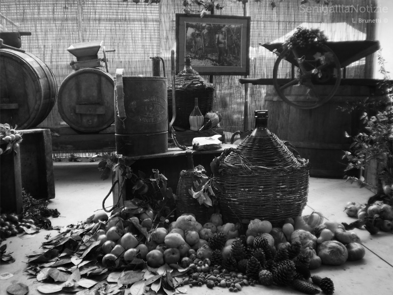 22/12/2013 - Il mondo agricolo