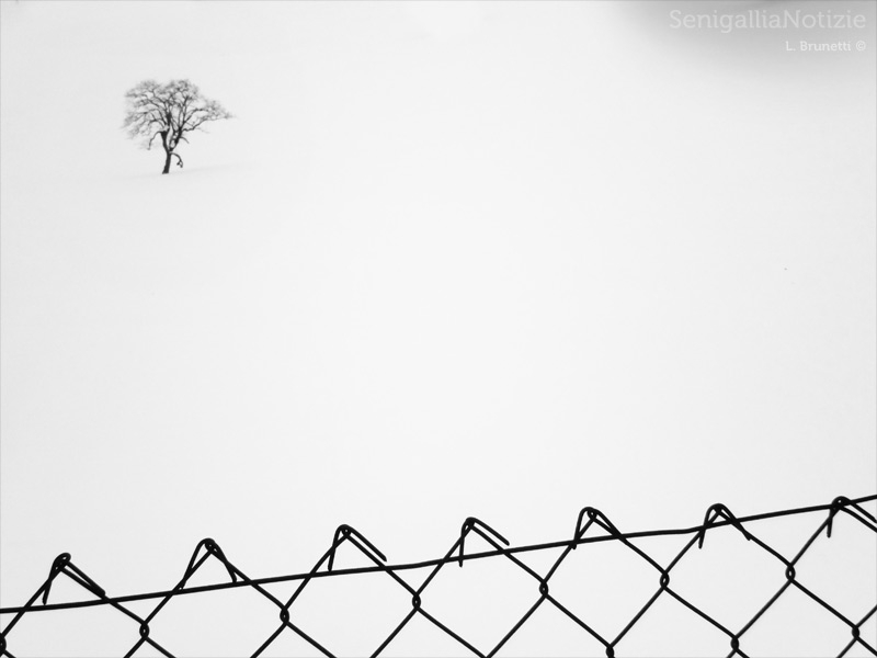 23/12/2013 - Panorama innevato