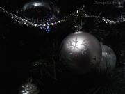 21/12/2013 - Decorazioni sull\'albero di Natale
