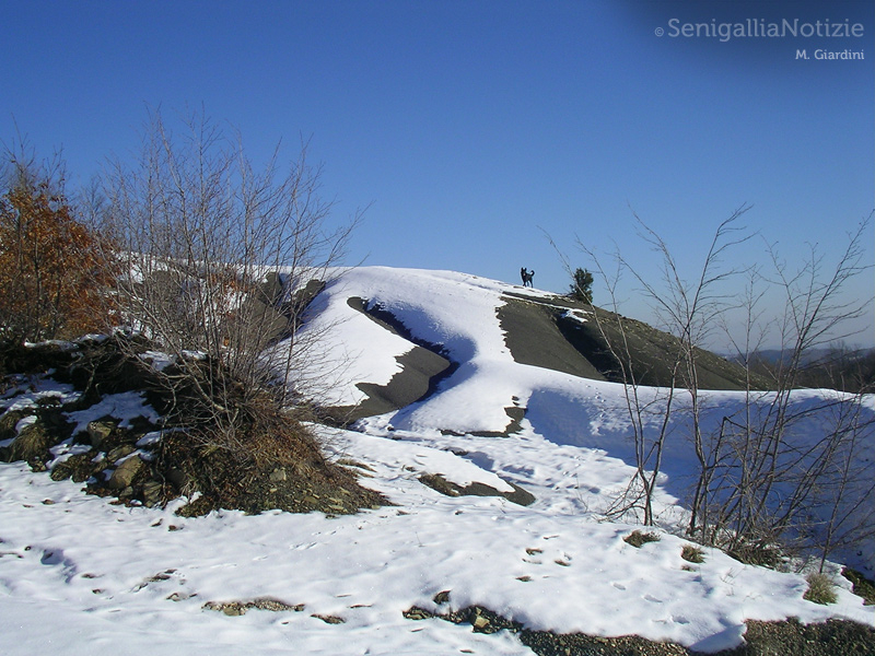 02/12/2014 - ...Attenti al lupo