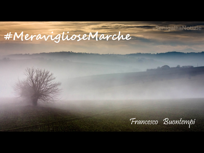 14/12/2014 - #MeraviglioseMarche