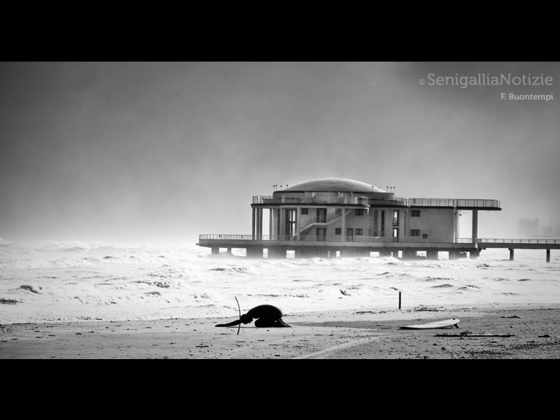 31/12/2014 - Saluto al vecchio anno