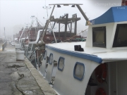 04/12/2014 - Barche tra la nebbia