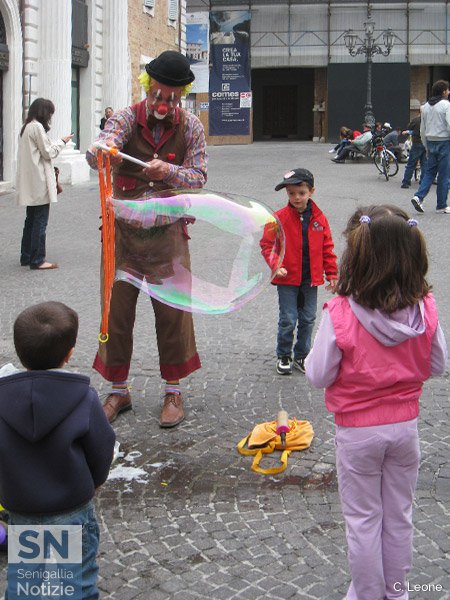 01/12/2015 - Stupore