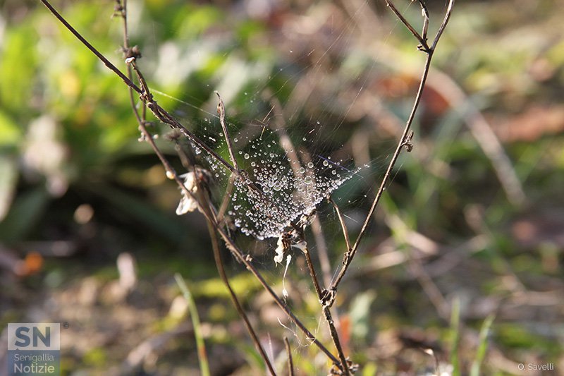 20/12/2016 - Gocce sospese