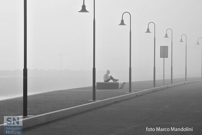 21/12/2016 - Nebbia al porto