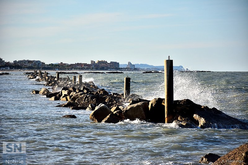 26/12/2016 - Marina Vecchia