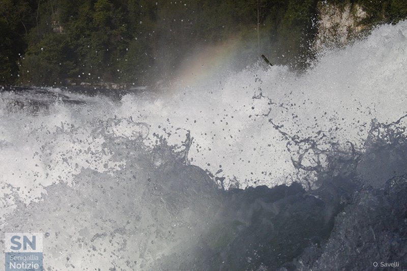 03/12/2017 - Inarrestabile