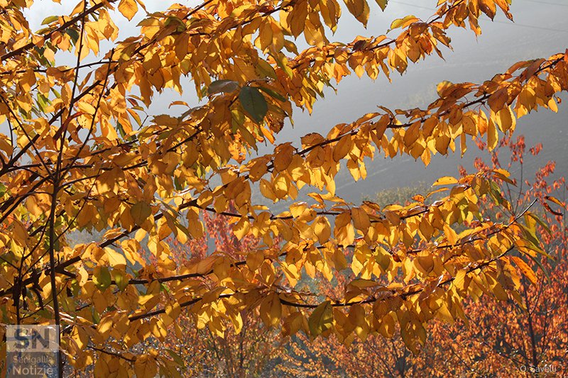 06/12/2017 - Luce e controluce