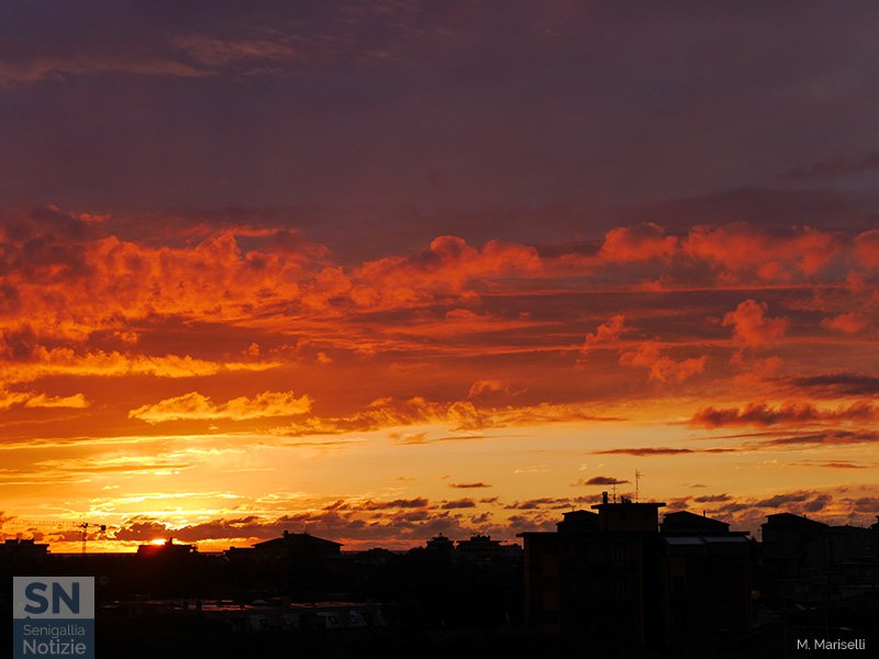 23/12/2017 - Dal giallo al viola