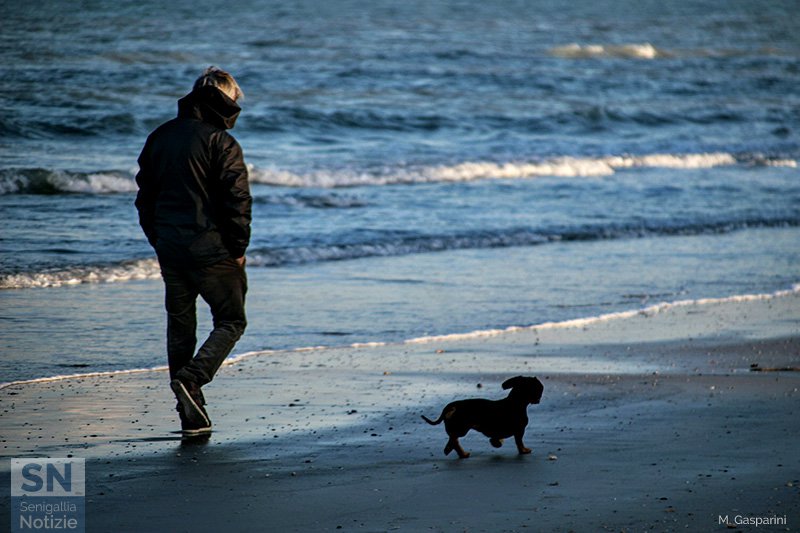 28/12/2017 - Due passi insieme