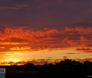 23/12/2017 - Dal giallo al viola