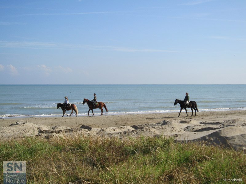 07/12/2018 - In sella in riva