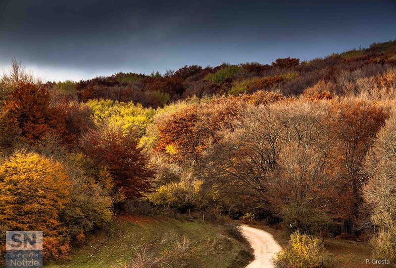 13/12/2018 - Autunno