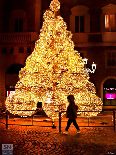 21/12/2018 - Di passaggio davanti all'albero di Natale