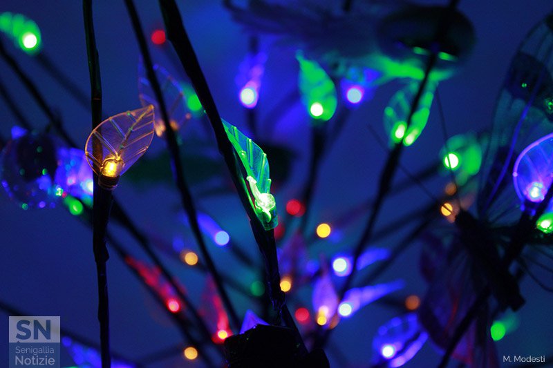 25/12/2018 - Le luci del Natale