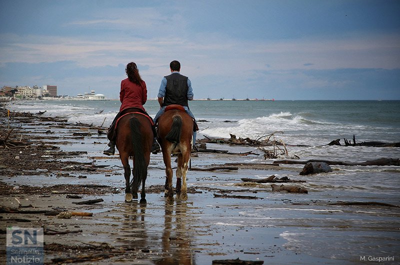 07/12/2019 - Il mare è le sue bellezze