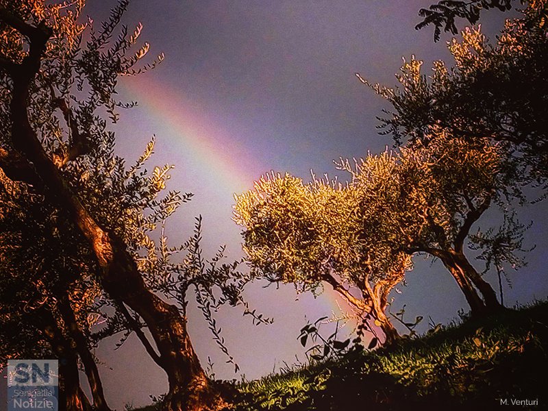 17/12/2019 - Resto qui, nel mio mondo incantato!