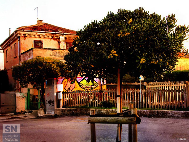 18/12/2019 - Graffiti nascosti