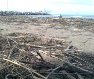 Spiaggia di velluto invasa dai detriti