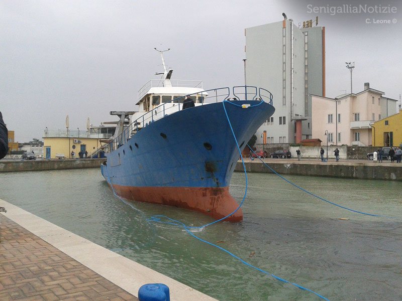 Il peschereccio in acqua nel porto di Senigallia