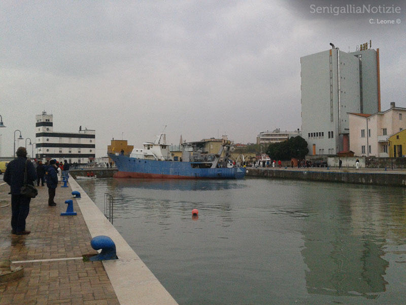 Il peschereccio in acqua nel porto di Senigallia